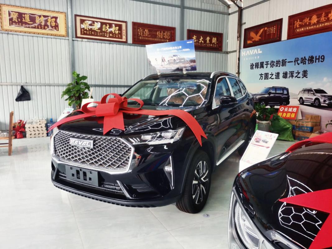 新车哈弗h6多少钱(新款哈弗h6裸车价多少)