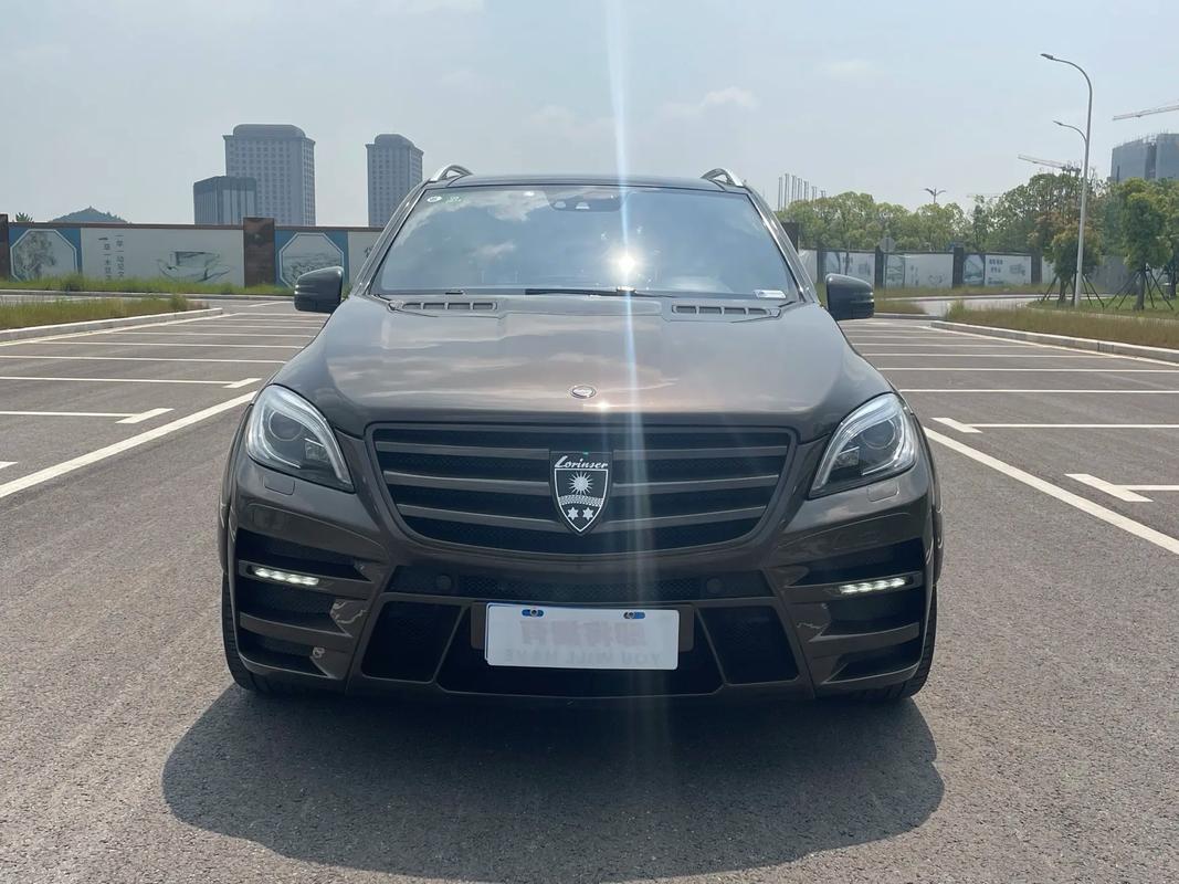 奔驰劳伦士商务车价格/奔驰劳伦士多少钱