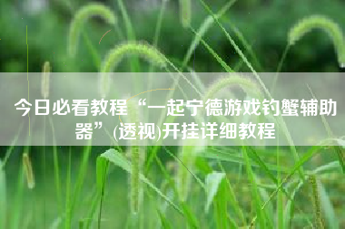 今日必看教程“一起宁德游戏钓蟹辅助器	”(透视)开挂详细教程