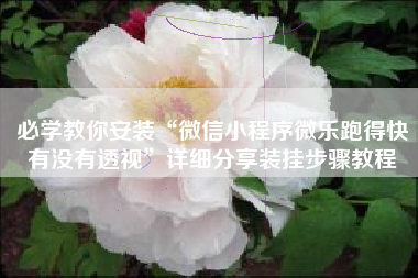 必学教你安装“微信小程序微乐跑得快有没有透视”详细分享装挂步骤教程