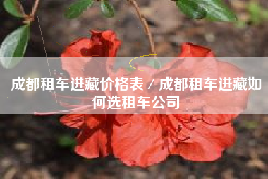 成都租车进藏价格表／成都租车进藏如何选租车公司