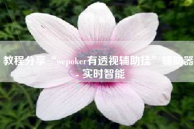 教程分享“wepoker有透视辅助挂	”辅助器 - 实时智能