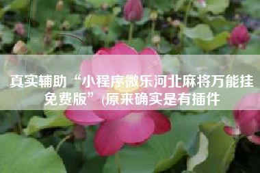 真实辅助“小程序微乐河北麻将万能挂免费版	”(原来确实是有插件