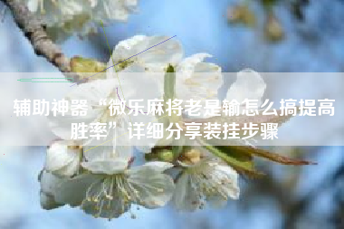 辅助神器“微乐麻将老是输怎么搞提高胜率”详细分享装挂步骤