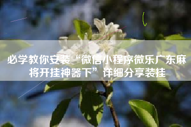 必学教你安装“微信小程序微乐广东麻将开挂神器下”详细分享装挂