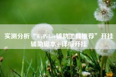 实测分析“WePoker辅助工具推荐	”开挂辅助脚本+详细开挂