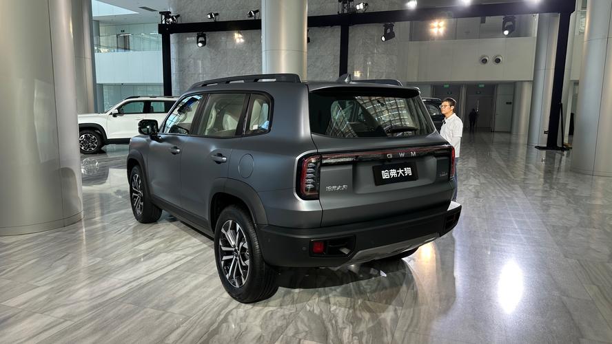 【哈弗大狗柴油版,哈弗大狗柴油版多少钱】