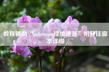 教程辅助“pokemmo挂加速器	”附开挂脚本详细