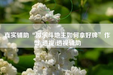 真实辅助“微乐斗地主如何拿好牌”作弊(透视)透视辅助