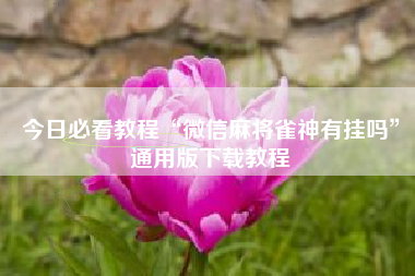 今日必看教程“微信麻将雀神有挂吗”通用版下载教程