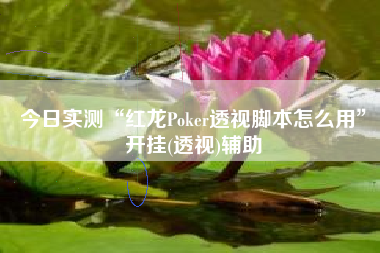 今日实测“红龙Poker透视脚本怎么用”开挂(透视)辅助