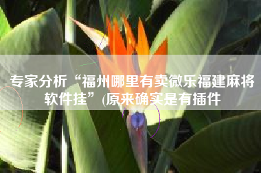 专家分析“福州哪里有卖微乐福建麻将软件挂”(原来确实是有插件