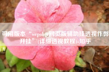 可用版本“wepoker网页版辅助挂透视作弊开挂	”(详细透视教程)-知乎