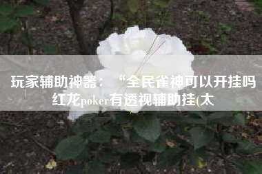 玩家辅助神器：“全民雀神可以开挂吗红龙poker有透视辅助挂(太