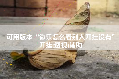 可用版本“微乐怎么看别人开挂没有”开挂(透视)辅助