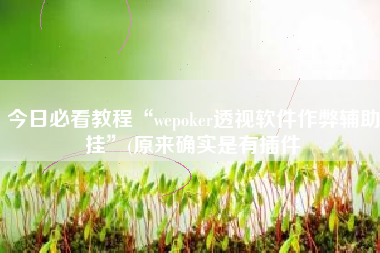 今日必看教程“wepoker透视软件作弊辅助挂”(原来确实是有插件