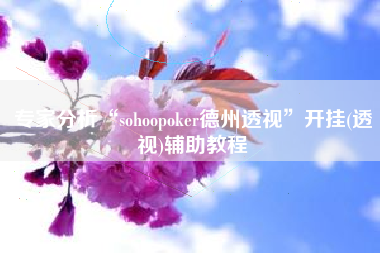 专家分析“sohoopoker德州透视”开挂(透视)辅助教程