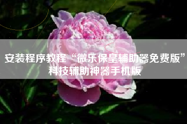 安装程序教程“微乐保皇辅助器免费版”科技辅助神器手机版