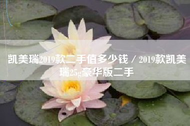 凯美瑞2019款二手值多少钱／2019款凯美瑞25g豪华版二手