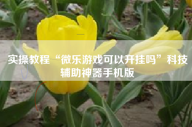 实操教程“微乐游戏可以开挂吗”科技辅助神器手机版