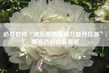 必看教程“微乐陕西麻将万能开挂器”(曝光透视必备猫腻