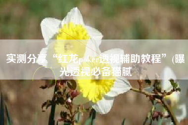 实测分享“红龙poker透视辅助教程”(曝光透视必备猫腻