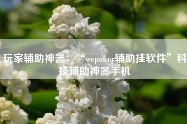 玩家辅助神器：“wepoker辅助挂软件	”科技辅助神器手机