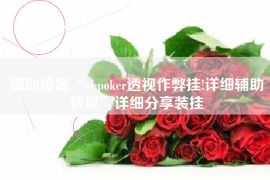 辅助神器“wepoker透视作弊挂!详细辅助教程	”详细分享装挂